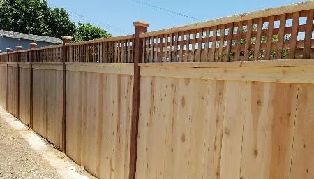 wood fence installation tampa fl
fence company tampa
tampa fence inc